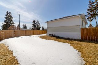 Photo 40: 1139 39 Street SE in Calgary: Forest Lawn Detached for sale : MLS®# A2035890