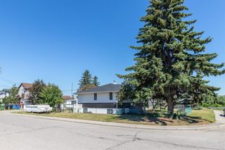 Photo 3: 7847 25 Street SE in Calgary: Ogden Detached for sale : MLS®# A1124937