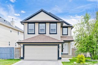 Photo 1: 43 Martha's Close NE in Calgary: Martindale Detached for sale : MLS®# A1257802