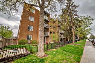 Photo 2: 102 501 57 Avenue SW in Calgary: Windsor Park Apartment for sale : MLS®# A2134854