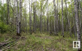 Photo 9: 111 5519 TWP RD 550: Rural Lac Ste. Anne County Vacant Lot/Land for sale : MLS®# E4378934