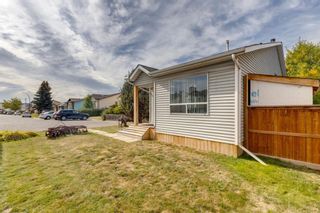 Photo 42: 63 Erin Meadows Court SE in Calgary: Erin Woods Detached for sale : MLS®# A2020352