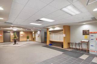 Photo 33: 205 500 Tache Avenue in Winnipeg: St Boniface Condominium for sale (2A)  : MLS®# 202227403