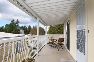 Photo 33: 3390 LAKEDALE Avenue in Burnaby: Government Road House for sale (Burnaby North)  : MLS®# R2872362
