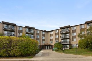 Photo 1: 706 8948 Elbow Drive SW in Calgary: Haysboro Apartment for sale : MLS®# A2080721