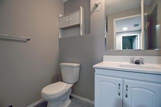 Photo 32: 240 erin meadow Green in Calgary: Erin Woods Detached for sale : MLS®# A2003999