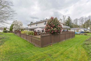 Photo 3: 9 22875 125B Avenue in Maple Ridge: East Central Townhouse for sale in "COHO CREEK ESTATES" : MLS®# R2258463