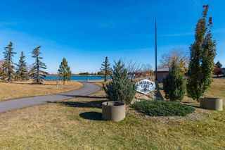 Photo 42: 603 9 Street SE: High River Detached for sale : MLS®# A2003033