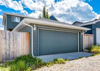 Photo 23: 118 Silverado Plains Manor SW in Calgary: Silverado Detached for sale : MLS®# A1236370