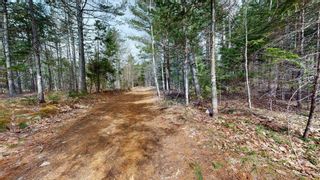Photo 16: Lot Sarah Drive in Coldbrook: Kings County Vacant Land for sale (Annapolis Valley)  : MLS®# 202307154