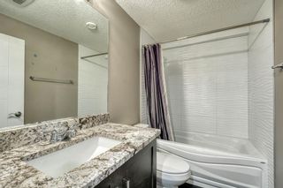 Photo 41: 79 Rundlefield Close NE in Calgary: Rundle Detached for sale : MLS®# A1040501