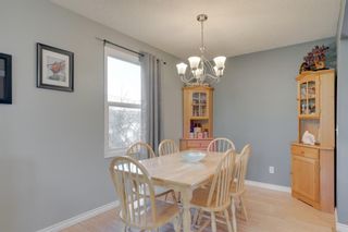 Photo 8: 503 QUEEN CHARLOTTE Road SE in Calgary: Queensland Detached for sale : MLS®# A1029461