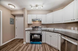 Photo 10: 214 2000 Applevillage Court SE in Calgary: Applewood Park Apartment for sale : MLS®# A2130391