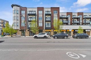 Main Photo: 208 1899 45 Street NW in Calgary: Montgomery Apartment for sale : MLS®# A2136336