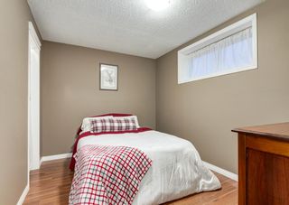 Photo 37: 218 MORNINGSIDE Gardens SW: Airdrie Detached for sale : MLS®# A1255331