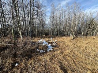 Photo 21: 370061 264 Street W: Rural Foothills County Residential Land for sale : MLS®# A2094120