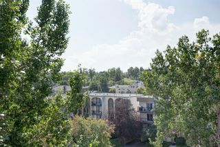 Photo 22: 402 2308 17B Street SW in Calgary: Bankview Apartment for sale : MLS®# A1257792