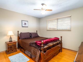 Photo 6: 535 Markerville Road NE in Calgary: Mayland Heights Detached for sale : MLS®# A1218365