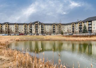 Photo 3: 8117 304 Mackenzie Way SW: Airdrie Apartment for sale : MLS®# A1204167