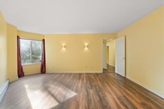 Photo 8: 205 33401 MAYFAIR Avenue in Abbotsford: Central Abbotsford Condo for sale in "Mayfair Gardens" : MLS®# R2860022