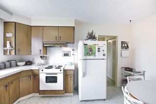 Photo 14: 1223 48 Avenue NW in Calgary: North Haven Detached for sale : MLS®# A1121377