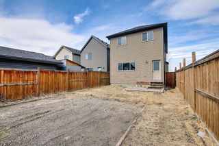 Photo 18: 484 COPPERPOND BV SE in Calgary: Copperfield House for sale : MLS®# C4292971