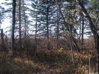 Photo 10: Red Deer River Lots in Hudson Bay: Lot/Land for sale (Hudson Bay Rm No. 394)  : MLS®# SK891533