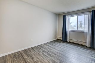 Photo 21: 203 335 Garry Crescent NE in Calgary: Greenview Apartment for sale : MLS®# A1236710
