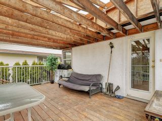 Photo 20: 3896 Finnerty Rd in Saanich: SE Arbutus House for sale (Saanich East)  : MLS®# 894605