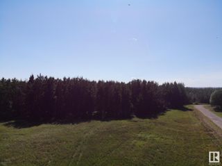 Photo 9: 50 Ave RR 281: Rural Wetaskiwin County Rural Land/Vacant Lot for sale : MLS®# E4299520
