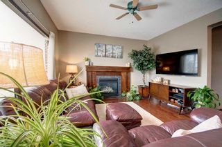Photo 9: 16 Elgin Meadows Manor SE in Calgary: McKenzie Towne Detached for sale : MLS®# A2107233