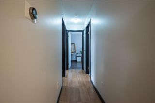 Photo 14: 40 Maplegrove Road in Winnipeg: Riverbend Residential for sale (4E)  : MLS®# 202209034