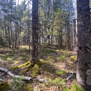 Photo 2: Lot 9 Old Trunk Highway 3 in Hebbs Cross: 405-Lunenburg County Vacant Land for sale (South Shore)  : MLS®# 202300314