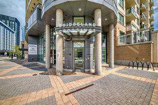 Photo 2: 313 38 9 Street NE in Calgary: Bridgeland/Riverside Apartment for sale : MLS®# A2133357