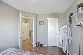Photo 46: 339 Panorama Hills Terrace NW in Calgary: Panorama Hills Detached for sale : MLS®# A1082523