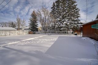 Photo 46: 1029 1 Street SW: High River Detached for sale : MLS®# A2036497