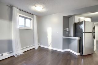 Photo 9: 402 534 20 Avenue SW in Calgary: Cliff Bungalow Apartment for sale : MLS®# A1065018