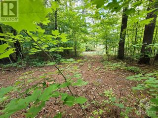 Photo 9: 142 LORLEI DRIVE in White Lake: Vacant Land for sale : MLS®# 1371001