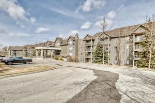 Photo 42: - 3101 Millrise Point SW in Calgary: Millrise Apartment for sale : MLS®# A2041825