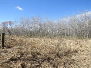 Photo 4: 5320 52 Street: Mirror Residential Land for sale : MLS®# A2130848