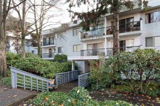 Photo 1: 206 428 AGNES Street in New Westminster: Downtown NW Condo for sale in "SHANLEY MANOR" : MLS®# R2258514