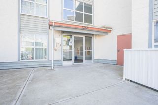 Photo 1: 207 32870 GEORGE FERGUSON Way in Abbotsford: Central Abbotsford Condo for sale : MLS®# R2873425