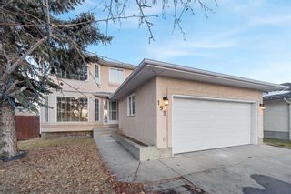 Main Photo: 195 Applewood Way SE in Calgary: Applewood Park Detached for sale : MLS®# A2112581