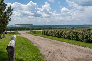 Photo 42: 144028 549 Highway: Rural Foothills County Detached for sale : MLS®# A1235962