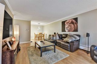 Photo 13: 104 11957 223 Street in Maple Ridge: West Central Condo for sale in "Alouette Apartments" : MLS®# R2586639