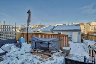 Photo 26: 145 Elgin Meadows View SE in Calgary: McKenzie Towne Semi Detached (Half Duplex) for sale : MLS®# A2012339