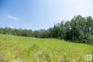 Photo 15: 23246 TWP  RD 521A: Rural Strathcona County Vacant Lot/Land for sale : MLS®# E4384068