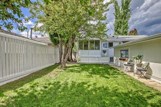 Photo 44: 10408 2 Street SE in Calgary: Willow Park Detached for sale : MLS®# A2053310