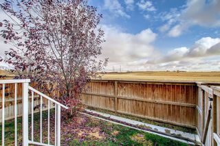 Photo 30: 802 2400 Ravenswood View SE: Airdrie Row/Townhouse for sale : MLS®# A2008019