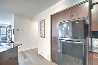 Photo 9: 1017 8880 Horton Road SW in Calgary: Haysboro Apartment for sale : MLS®# A1223060